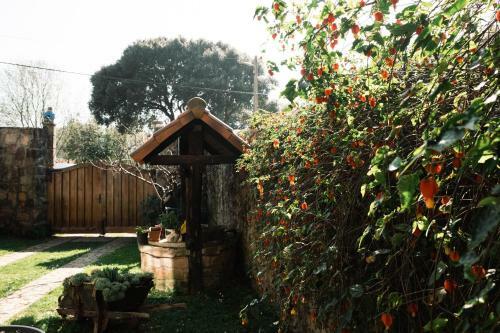 Agroturismo Apartamentos Y Posada El Cafetal
