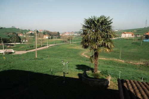 Agroturismo Apartamentos Y Posada El Cafetal