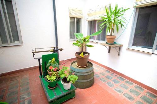 Villa Calle Matadero