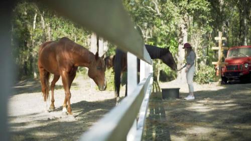 Agroturismo The Woods Farm Jervis Bay