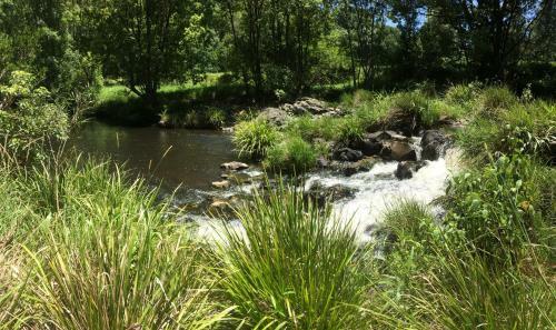 Agroturismo Terania Creek Farmstay