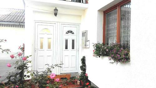 Apartment Mehi