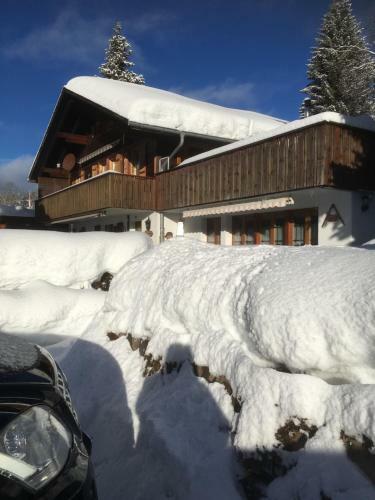 Apartamento Chalet Erika