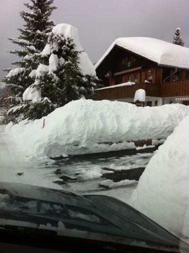 Apartamento Chalet Erika