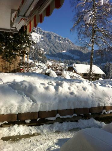 Apartamento Chalet Erika