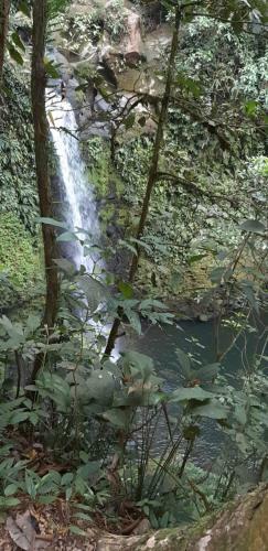Hostal Y Cabinas Anita-and Rafting Tour!