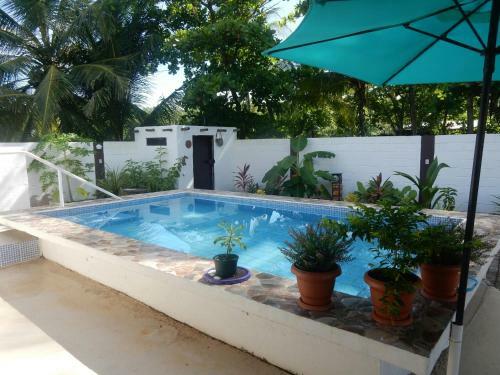 Bed & Breakfast Casa Guacalillo