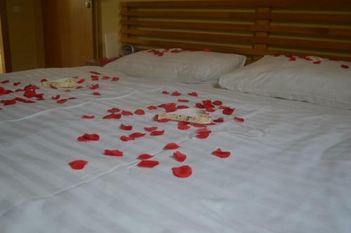 Hostal Penzion U Z�meck� Zahrady