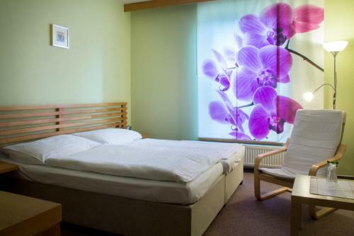 Hostal Penzion U Z�meck� Zahrady