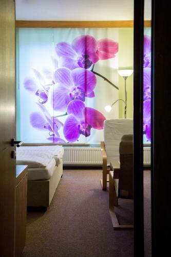 Hostal Penzion U Z�meck� Zahrady