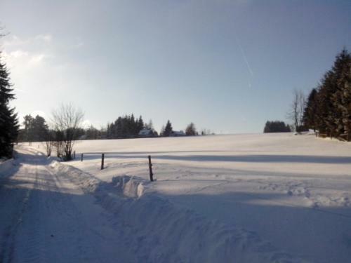Apartment-chalet-chaloupka U Trnk?