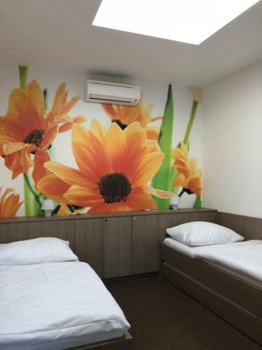 Hostal Penzion U Ho?k?