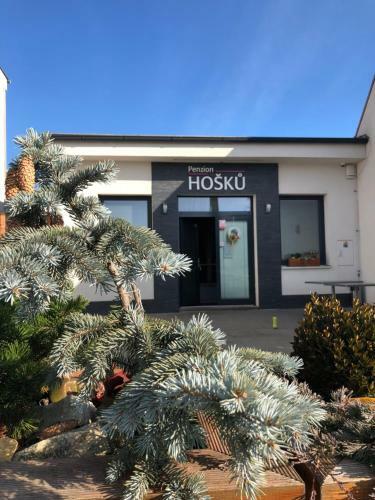Hostal Penzion U Ho?k?
