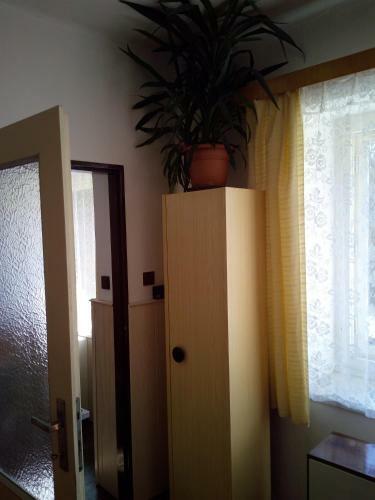 Apartm�n U Cukr�?ky