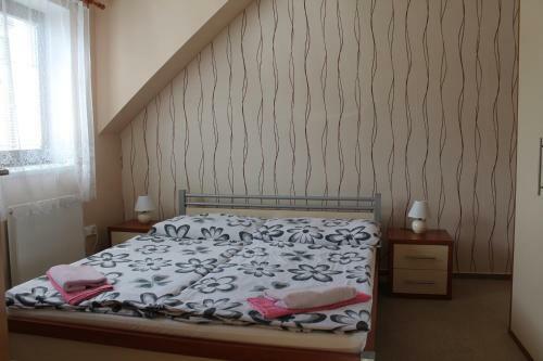 Hostal Penzion U R??e