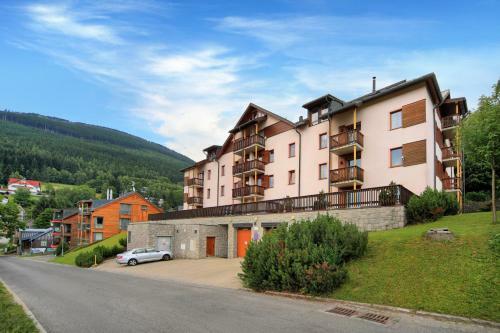 Apartment Dalibor ?pindler?v Ml�n