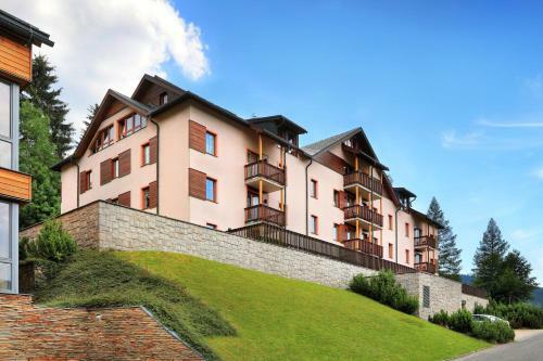 Apartment Dalibor ?pindler?v Ml�n