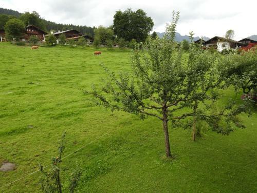 Apartamentos Ferienwohnung Karblick