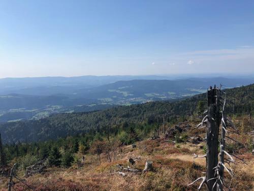 Wellnesshotel Riedlberg