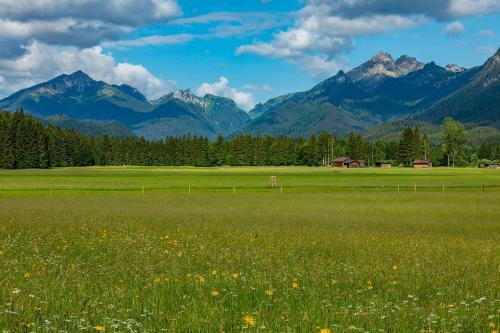 Apartamento Gr�bl-alm Haus Zur Sch�nen Aussicht