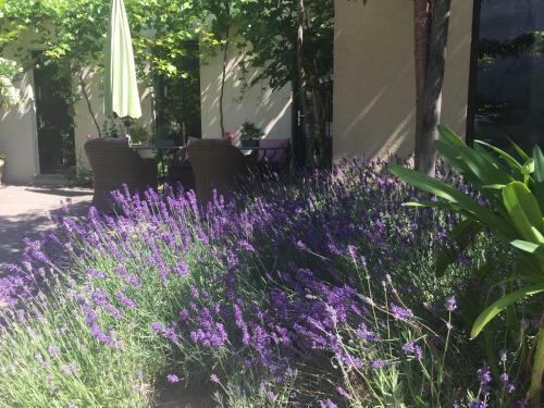 Bed & Breakfast Jugendstil-hof