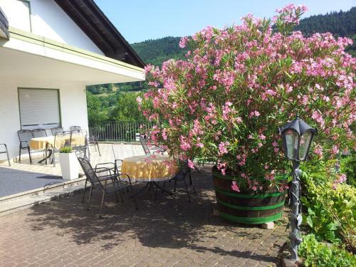 Hostal Ferienweingut-liebfried