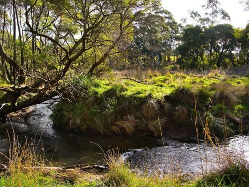 Green Gully House