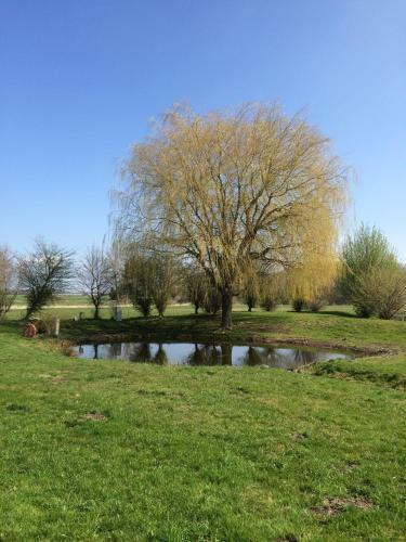 Apartamento Ferienwohnung Boddenblick