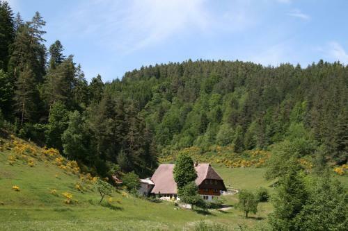 Apartamento Haus Am Waldrand