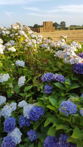 Revital & Wohlf�hlhotel Steimker Hof