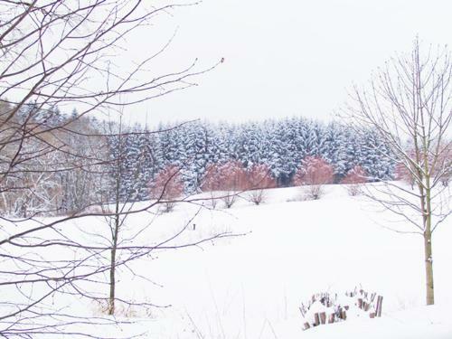 Landhotel & Restaurant Westerwaldgrill
