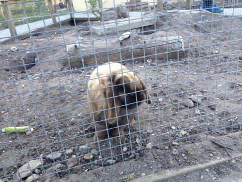 Birkende Bed And Breakfast