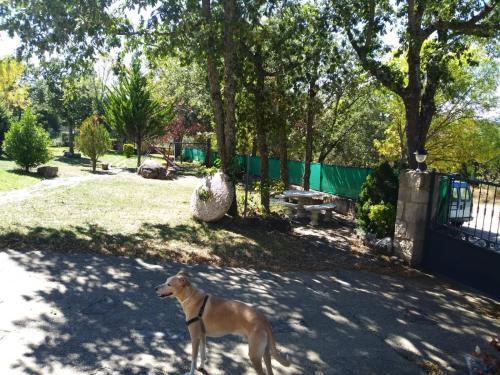 Agroturismo Robles D'oche