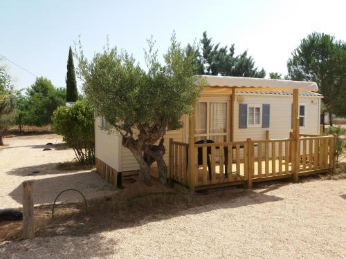 Camping Bola