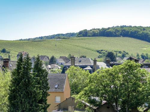 Apartment La Couronne