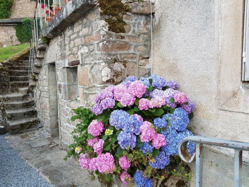 Bed & Breakfast Vue De Vallee