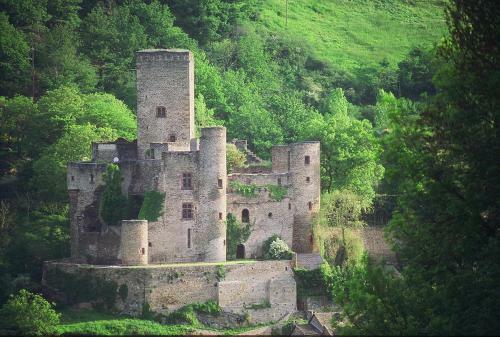 Bed & Breakfast Chambre D'h�tes Au Ch�teau De Belcastel