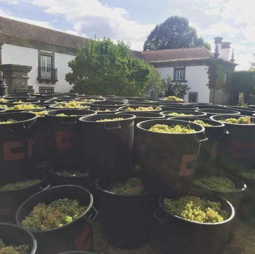 Hostal Quinta De Guimaraes
