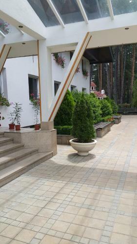 Spa Hotel Borova Gora
