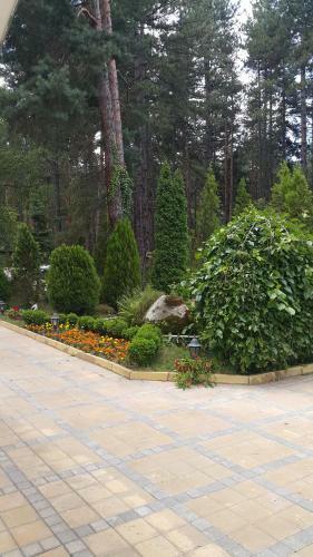 Spa Hotel Borova Gora