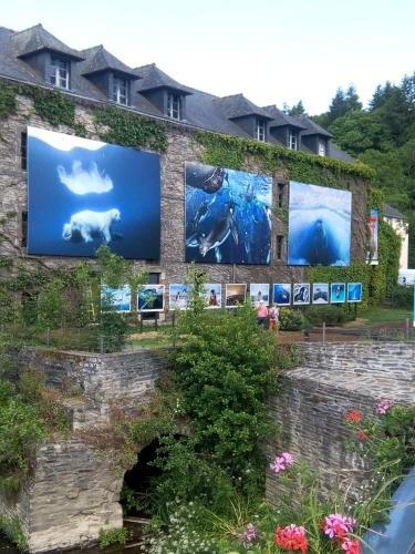 Bed & Breakfast Chambre D'h�tes Les Bruy�res