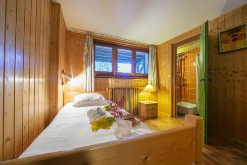 Chalet Tr� La Vieux.
