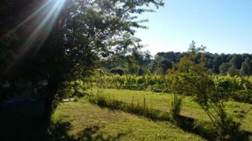Bed & Breakfast La Petite Auberge