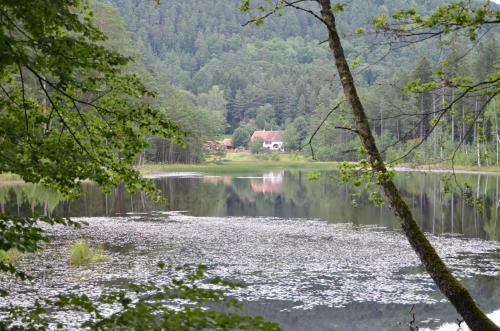 G�te Du Geierfelsen