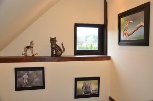 G�te Du Geierfelsen