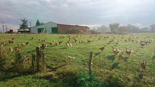 A La Poularde B&B