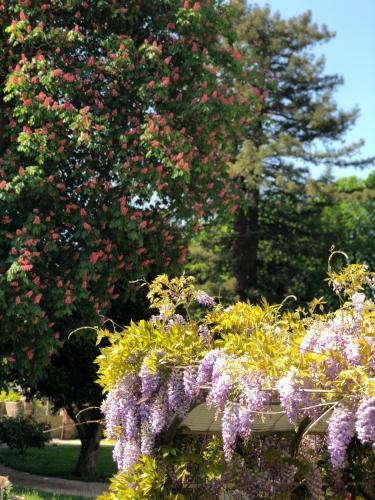 Bed & Breakfast La Villa Rochette