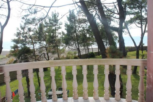 Villa Shekvetili
