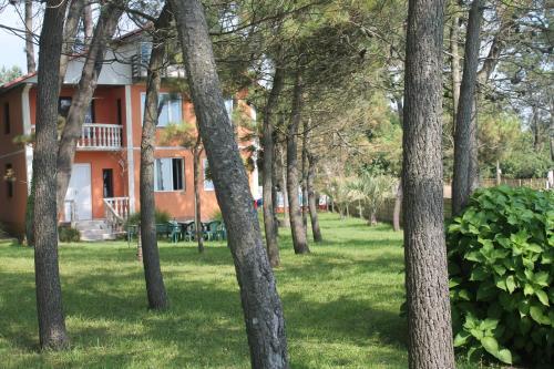 Villa Shekvetili