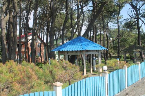 Villa Shekvetili